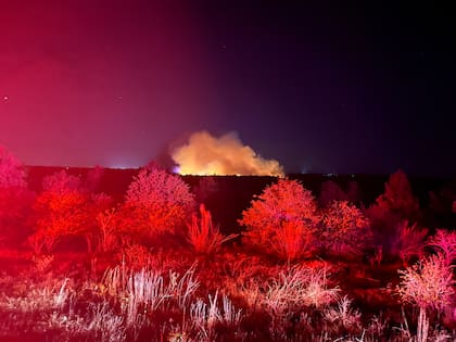 El incendio que comenzó el domingo 22 de marzo continua este lunes 23 de marzo, aunque las autoridades confirmaron que más del 50% ya fue contenido