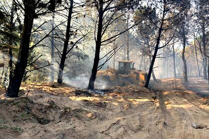 Los bomberos trabajan en la contención del fuego, que afecta unas 50 hectáreas