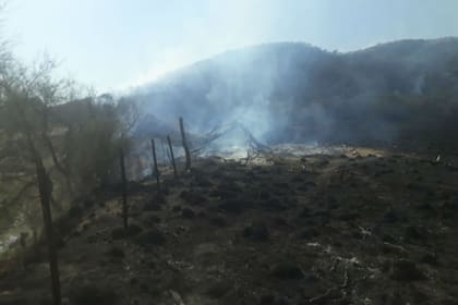 El incendio tardó tres días en llegar a la vera de la casa de la familia