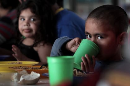 El incremento de la productividad agrícola de las últimas décadas, celebrado por los optimistas, obedece, según los críticos, a la deforestacion y al uso de agroquímicos. El desafío, parece, es combatir el hambre sin dañar el medio ambiente