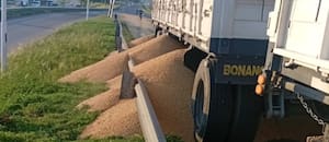 Denuncian crecientes robos en los puertos del Gran Rosario