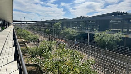 El Índice General de Mercado Agroganadero fue de $2104,424