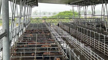 El Índice General subió un 5,62% al pasar de $1934,374 a $2043,039