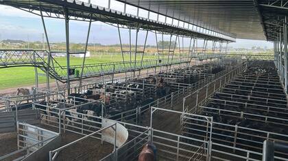 El Índice General tuvo una suba respecto al martes del 2,78%, al pasar de 2247,958 a 2310,509 pesos