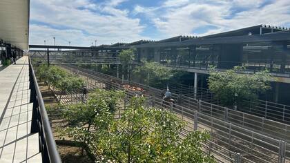 El Índice Novillo del Mercado Agroganadero quedó en $2264,455 con un promedio semanal de $2227,913