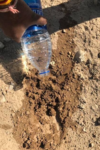 El indio Suyash Dixit plantó una semilla en Bir Tawil porque según las civilizaciones antiguas, cultivar una tierra era sinónimo de hacer efectiva su posesión