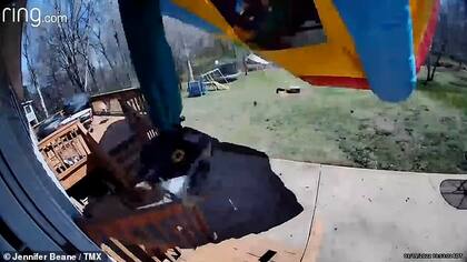 El inflable se elevó sobre el aire con motor y cables incluidos (Crédito: Jennifer Beane)