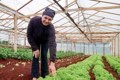 El Informe alertó sobre un deterioro del sistema agroalimentario