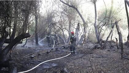 El informe de The Lancet Countdown Latin America señala que la potencialidad de incendios creció significativamente durante el último año