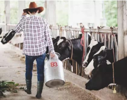 El informe evidencia, además, brechas significativas en productividad. Detallaron que la productividad agropecuaria por trabajador es aproximadamente el doble en países de Europa y Asia, y hasta 12 veces mayor en Estados Unidos y Canadá