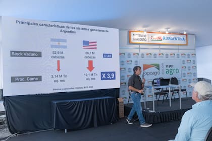 El Ingeniero Agrónomo Sebastián Riffel durante la exposición.
