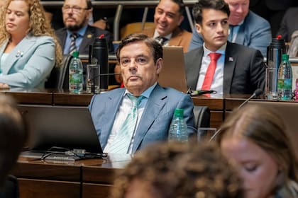 El ingeniero Carlos Rovira, de 70 años, en su silla en la segunda hilera del hemiciclo del Legislativo. Sonrio poco y no se sacó fotos con Passalacqua, una rareza para esta fecha política, una de las más importantes del calendario misionero.