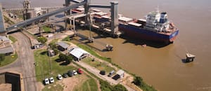 En mayo subió 7% el ingreso de dólares de la agroexportación: el acumulado del año llegó a US$10.343 millones, una merma del 12%