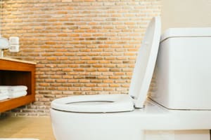 Por qué se recomienda tirar sal en el inodoro y cada cuánto hay que hacerlo