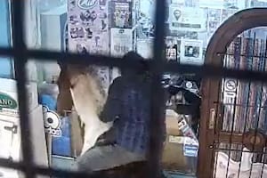 Insólito: dos ladrones montados a caballo robaron un kiosco en el centro de Miramar