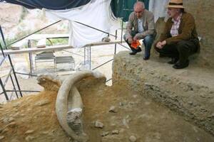 Arqueólogos encuentran en España costillas de mamut de hace un millón de años