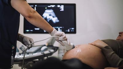 El Instituto de Genética de la Universidad Nacional de Colombia descubrió un caso de superfecundación heteropaternal