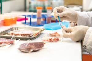 El Instituto de Tecnología de Alimentos del INTA (INTA ITA) se enfoca en la investigación, desarrollo y transferencia de tecnologías para mejorar la calidad, inocuidad y valor agregado de los alimentos