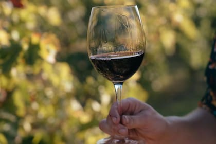 El Instituto de Vitivinicultura podría ser absorbido por el Senasa