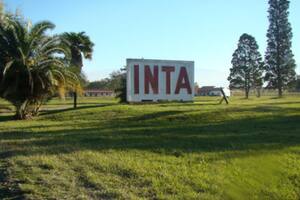 Un diputado propuso sacar tierras al INTA en Salta y generó un fuerte rechazo
