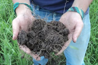 Cinco hitos tecnológicos del campo argentino que demuestran que el INTA “la vio venir”