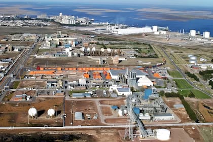 ¿Bahía Blanca se convierte en un polo de biocombustibles? Grupo Bahía Energía avanza con una planta de bioetanol de maíz