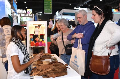 El interés del público argentino en República Dominicana sigue creciendo.