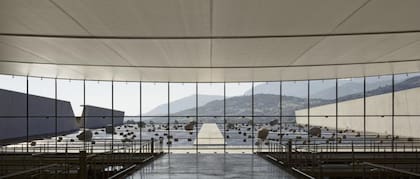 El interior de la viña