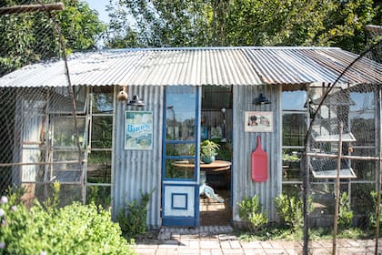 El invernáculo, en el sector de la huerta, realizado con chapas antiguas y decorado con objetos especiales