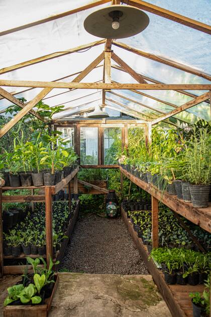 El invernadero, clave a la hora de refugiar los plantines