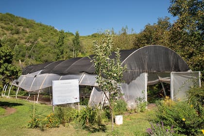 El invernadero, con su cartelería explicativa, es una construcción que permite controlar la temperatura, la humedad y otros factores ambientales en épocas poco propicias para los cultivos de la huerta.