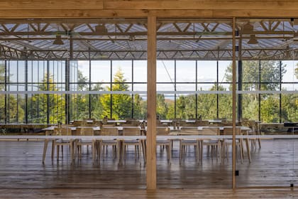 El invernadero cuenta además con un espacio de reuniones y trabajo, por lo que muchas empresas hacen retiros a este espacio para sus encuentros.