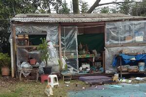 Huerta de Garay. Un oasis en la ciudad que reclama protección por el vandalismo