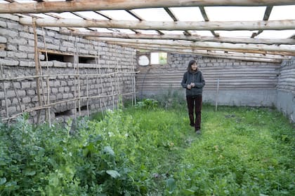 El invernadero fue construido con técnicas bioclimáticas. Les permite cultivar durante todo el año, con cualquier temperatura.