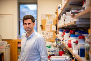 Diseñan antibióticos capaces de vencer la resistencia bacteriana gracias a la IA