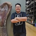 Identificaron un nuevo dinosaurio gigante a partir de fósiles en Tailandia