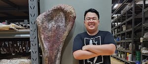 Identificaron un nuevo dinosaurio gigante a partir de fósiles en Tailandia