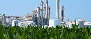 Apoyos y críticas a un proyecto de ley de Patricia Bullrich para subir los cortes de los biocombustibles y liberar el mercado