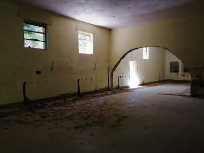 El islote del Nahuel Huapi era el candidato perfecto para la investigación y hacia allí voló Richter, junto a Ilse Aberdt, su esposa, y Épsilon, su gato siamés