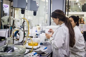 Educar para el futuro. Novedosa carrera de ingeniería para formar profesionales que transformarán la salud, la energía y los alimentos