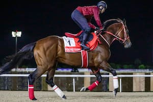 Medio Oriente vive una guerra, pero el turf sigue adelante: la Dubai World Cup está en las gateras