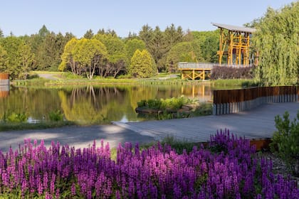 El Jardín Botánico de Montreal está entre los más importantes del mundo gracias a la gran diversidad de sus especies.