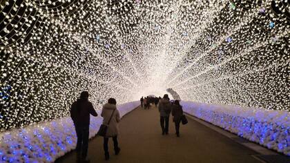 El Jardín Botánico de Nabana, iluminado