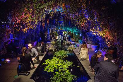 El jardín botánico de Nueva York realiza durante marzo y abril sus "noches de orquídeas"