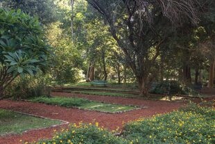 El Jardín Botánico se extiende en 7 hectáreas verdes en medio de la Ciudad de Buenos Aires