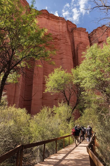 El Jardín Botánico, uno de los sitios más verdes del parque, invita a conocer la flora del lugar.