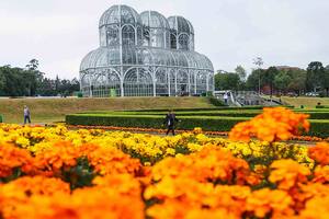 Curitiba. Claves para ser la ciudad más limpia y sustentable de Sudamérica
