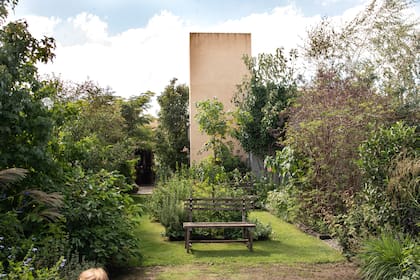 El jardín de atrás, más amplio, con distintos viburnum, saucos, budleias, persicarias, rosas y abutilones