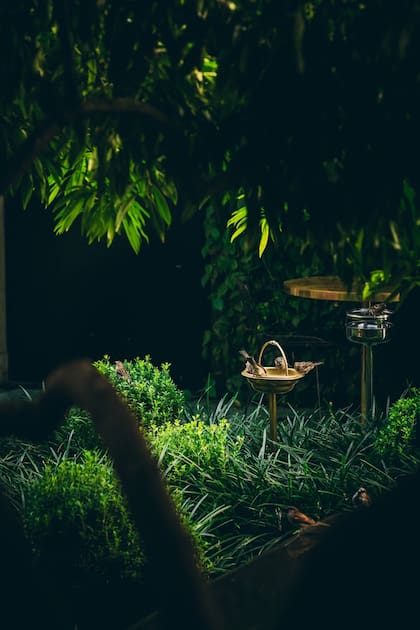 El jardín de Casa Cavia es digno de visitarse en cualquier época del año