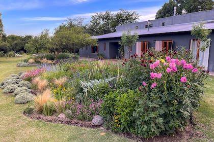 El jardín de flores delante de la casa, donde crecen gramíneas, herbáceas perennes y santolinas